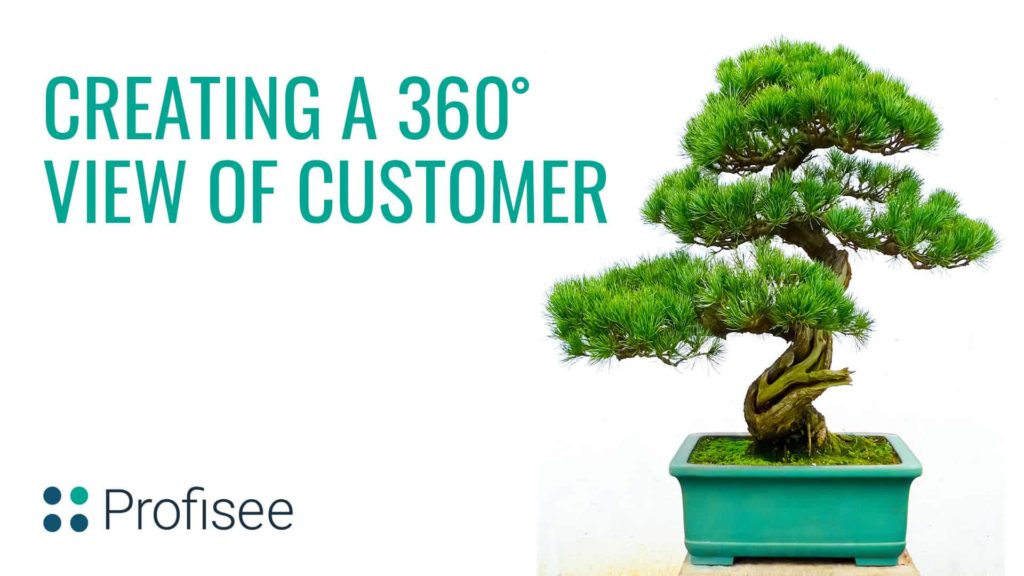 A slide with the text 'Creating a 360? view of Customer' next to a bonsai tree, with the Profisee logo at the bottom.