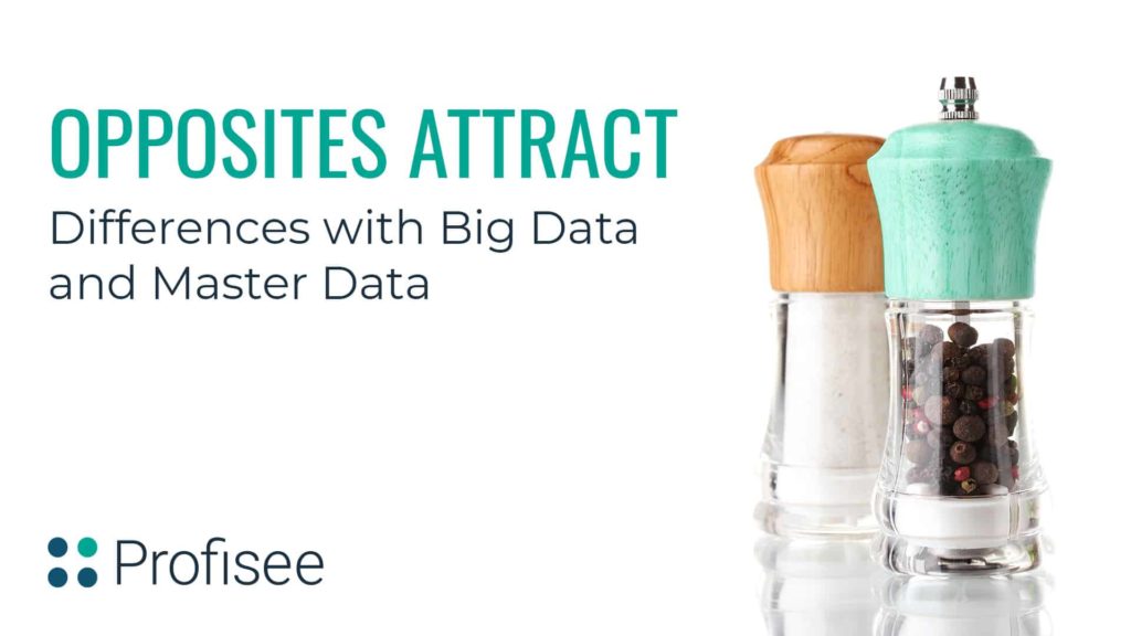 The presentation slide is titled 'Opposites Attract: Differences with Big Data and Master Data' and features a salt and pepper shaker and the Profisee logo.