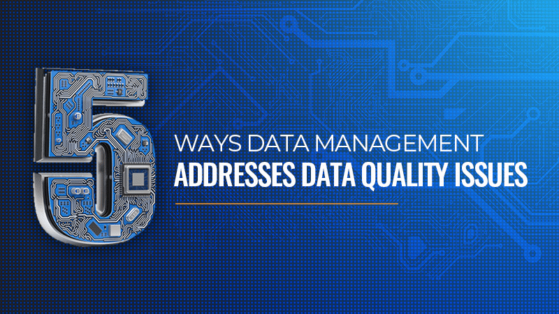Title page for "5 Ways Data Management Addresses Data Quality Issues."