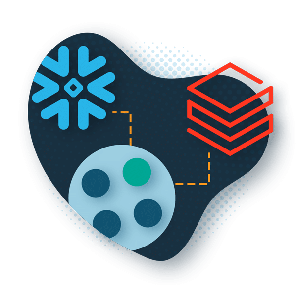 Image depicting Profisee's integration with Snowflake and Databricks